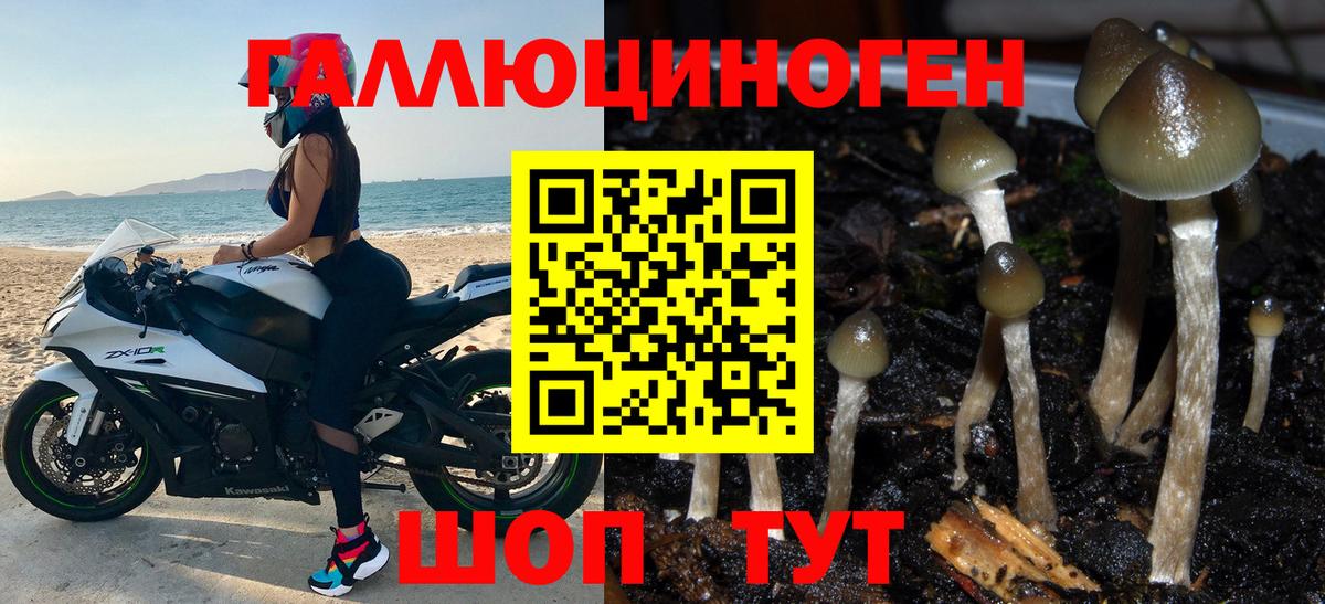 Галлюциногенные грибы прущие грибы Мичуринск